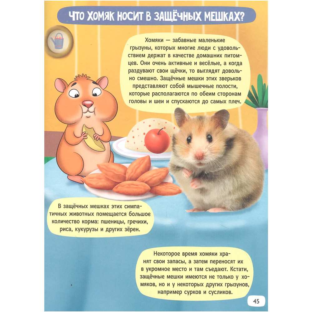 Книга 978-5-378-31010-4 Зачем котам усы ?