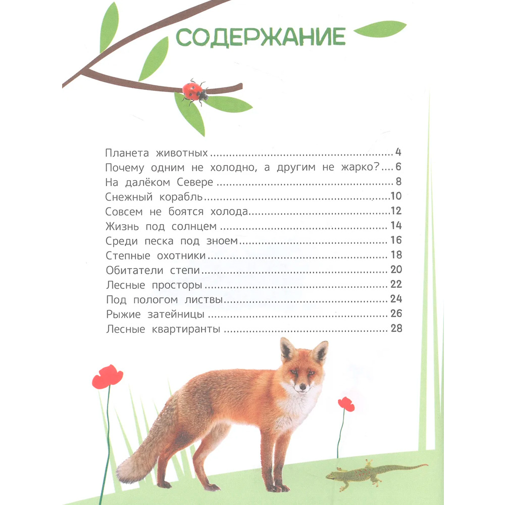 Книга 978-5-353-10249-6 Животные. Энциклопедия для первого чтения с крупными буквами