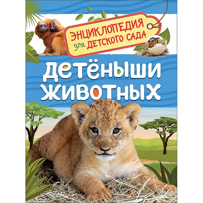 Книга энциклопедия 978-5-353-09339-8 Детеныши животных.Энциклопедия для детского сада