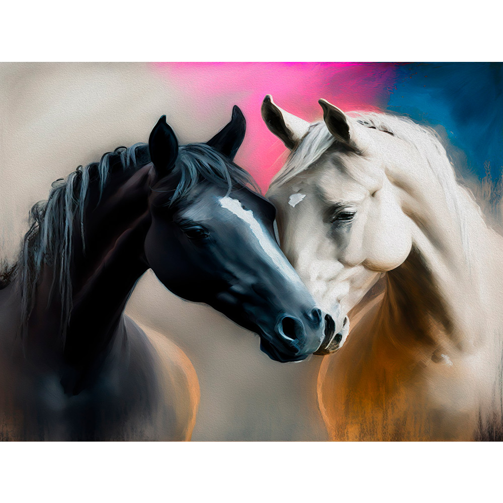 Набор ДТ Роспись по холсту Черная и белая лошадь 30*40см Х-4161