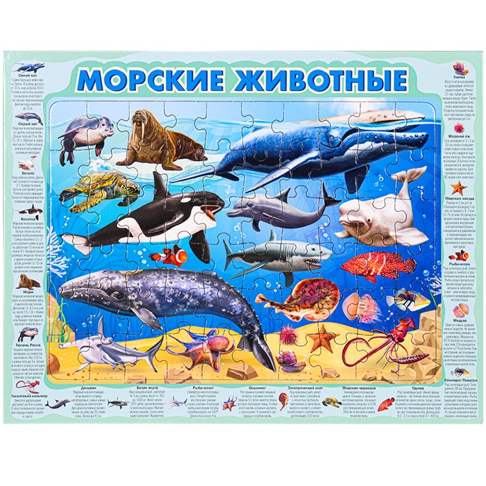 Пазл рамка 60 Морские животные П60-8739