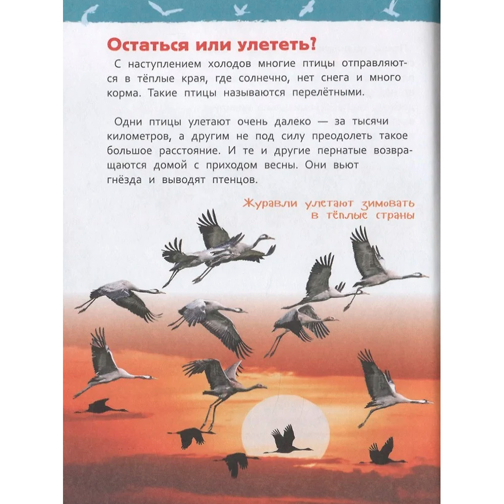 Книга 978-5-353-09340-4 Птицы.Энциклопедия для детского сада